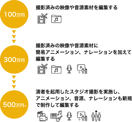 100万円：撮影済みの映像や音源素材を編集する、300万円：撮影済みの映像や音源素材に簡易アニメーション、ナレーションを加えて編集する、500万円〜：演者を起用したスタジオ撮影を実施し、アニメーション、音源、ナレーションも新規で制作して編集する